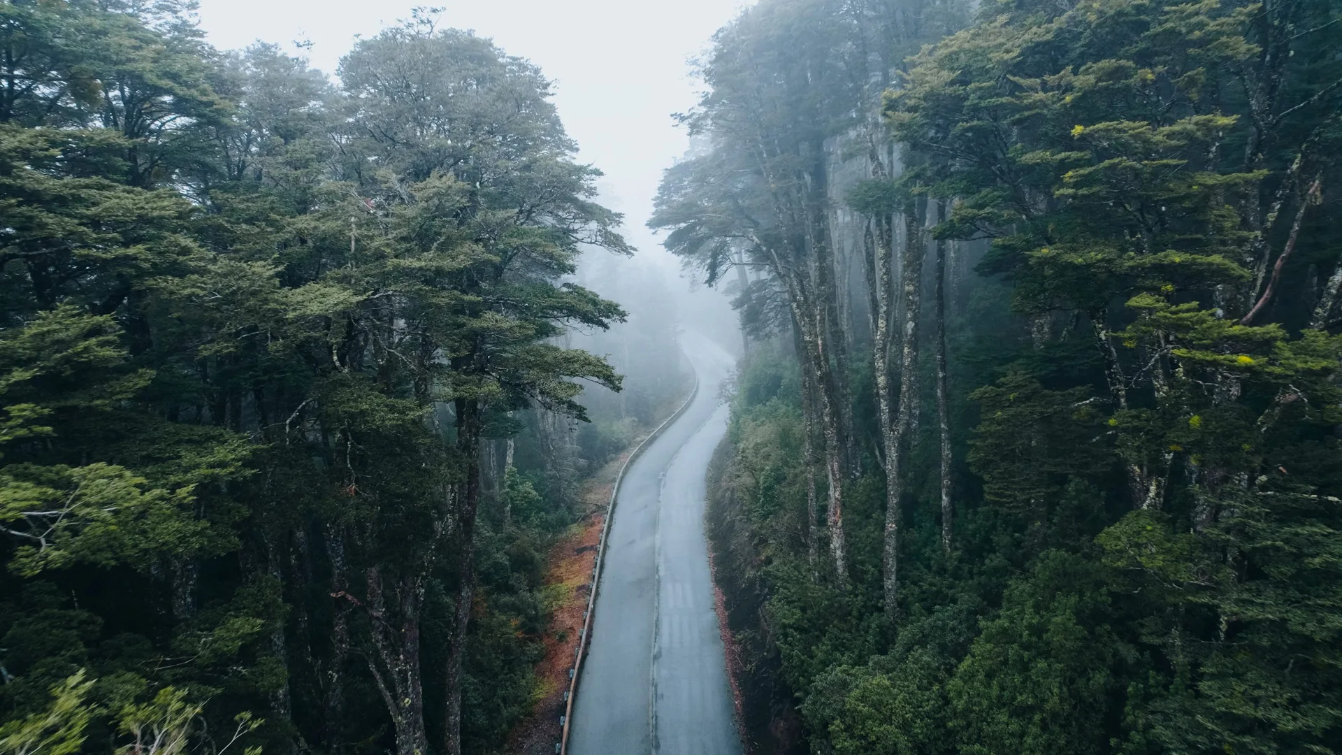Fotografía 1 de Tricalén