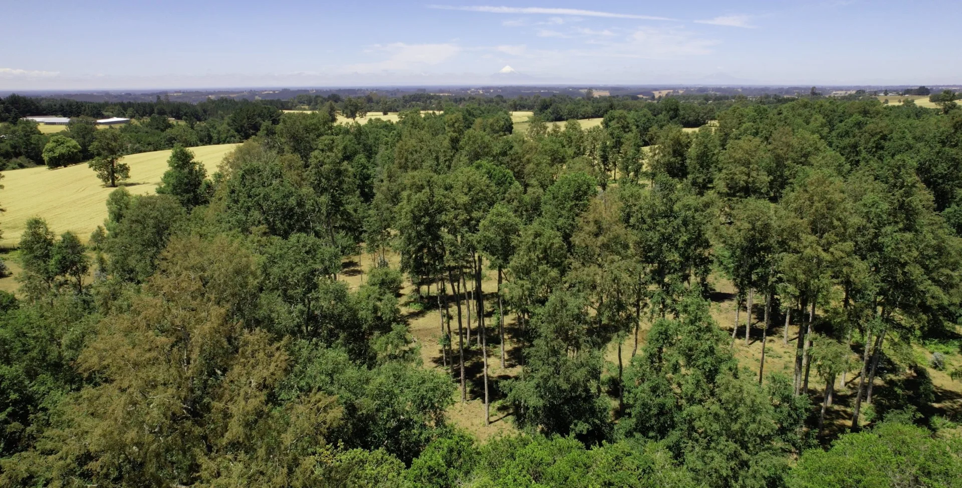 Fotografía 1 de Hacienda Lahuenco